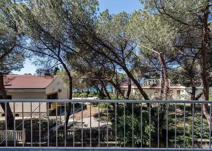 Royal * Ζαντάρ